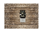 Racoon Night Light